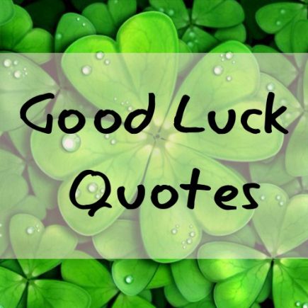 Good Luck Quotes and Messages to Write in A Good Luck Card