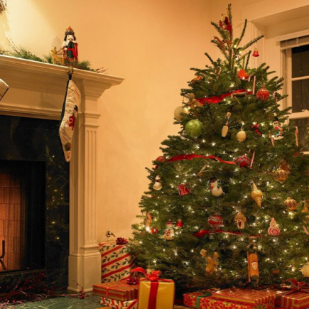 71 Hilarious Quotes About Christmas Trees