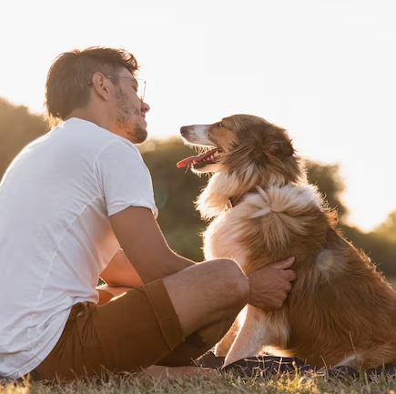 19 Special Father's Day Gifts From Dog For The Dog Dad In Your Life